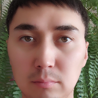 Нурмухамедов Артур Сагитович