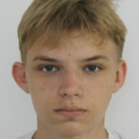 Поддубный Владислав  Александрович